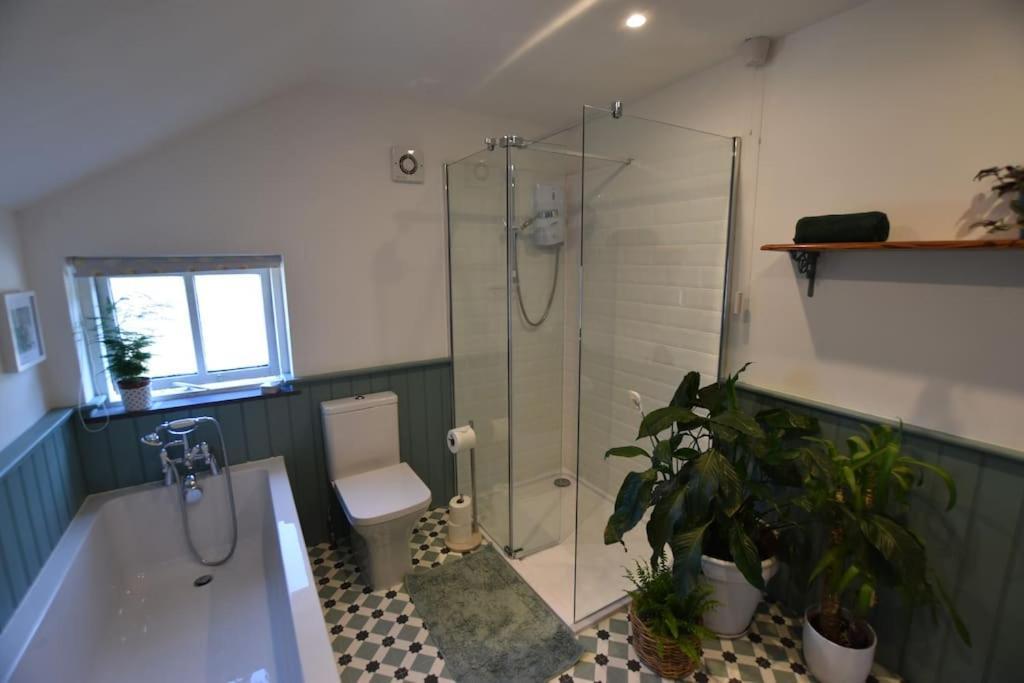 Perfect For Snowdon. Groups, Families+dogs Welcome Holiday home Llanberis